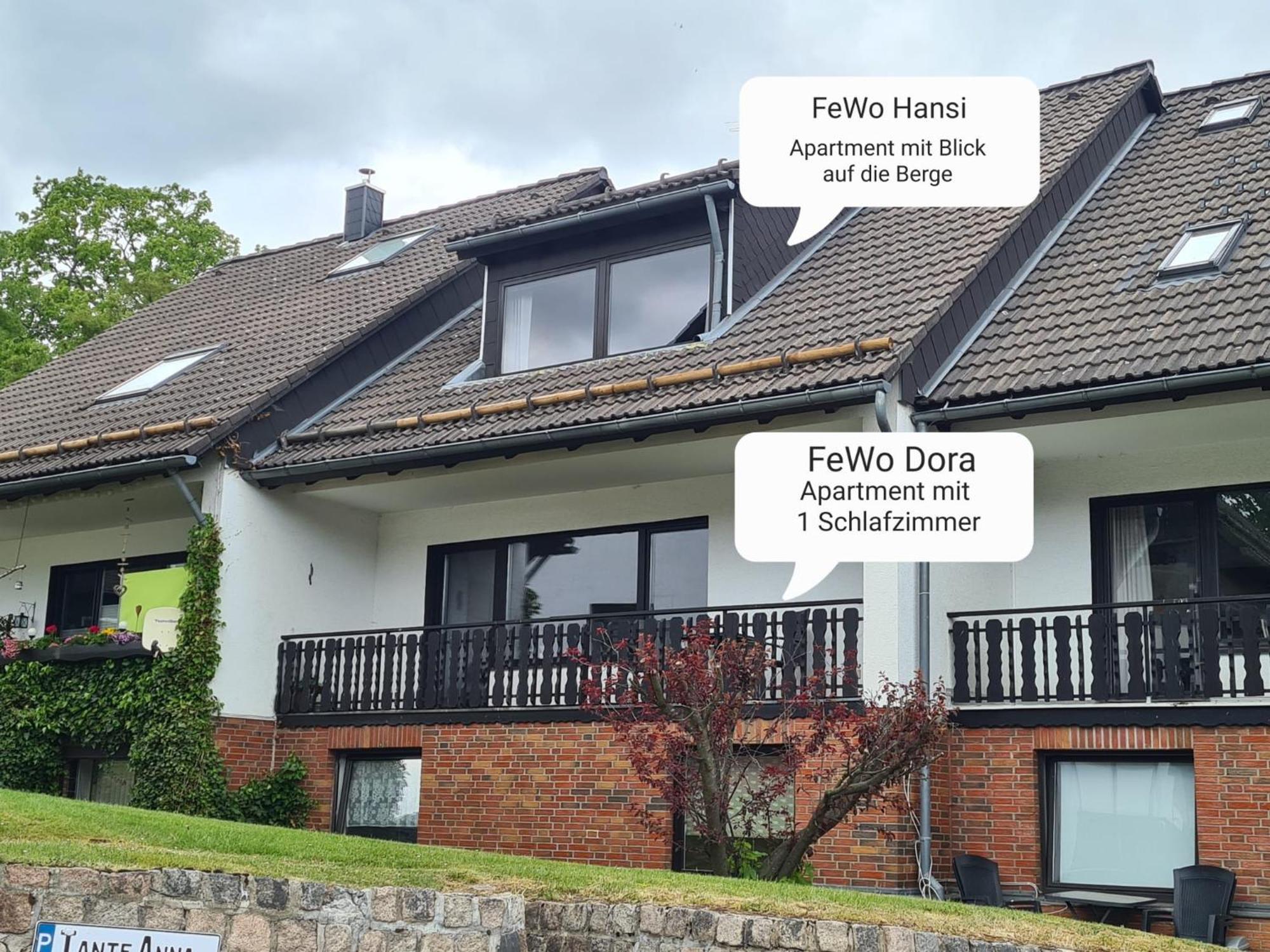 Ferienwohnungen Dora Und Hansi Braunlage Exteriér fotografie
